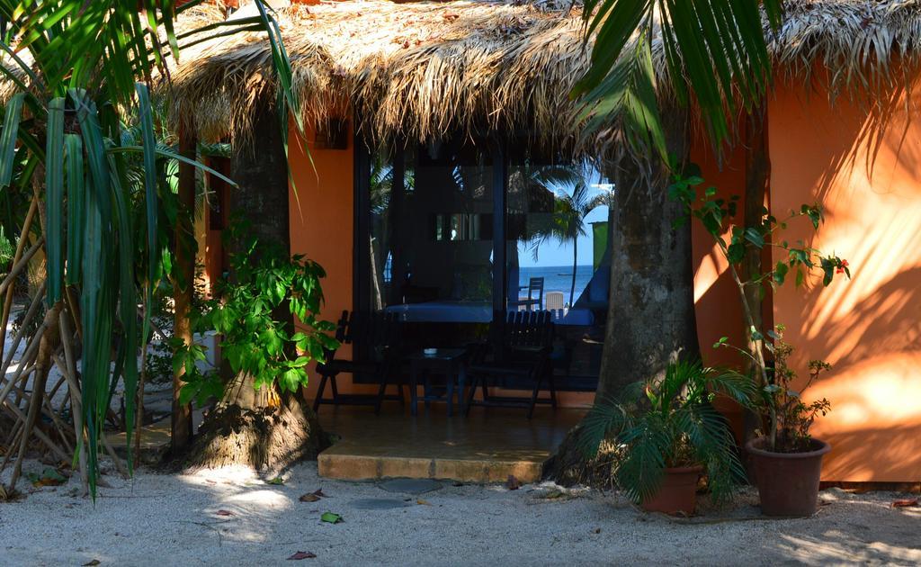 La Palapa Pension Tamarindo Kamer foto