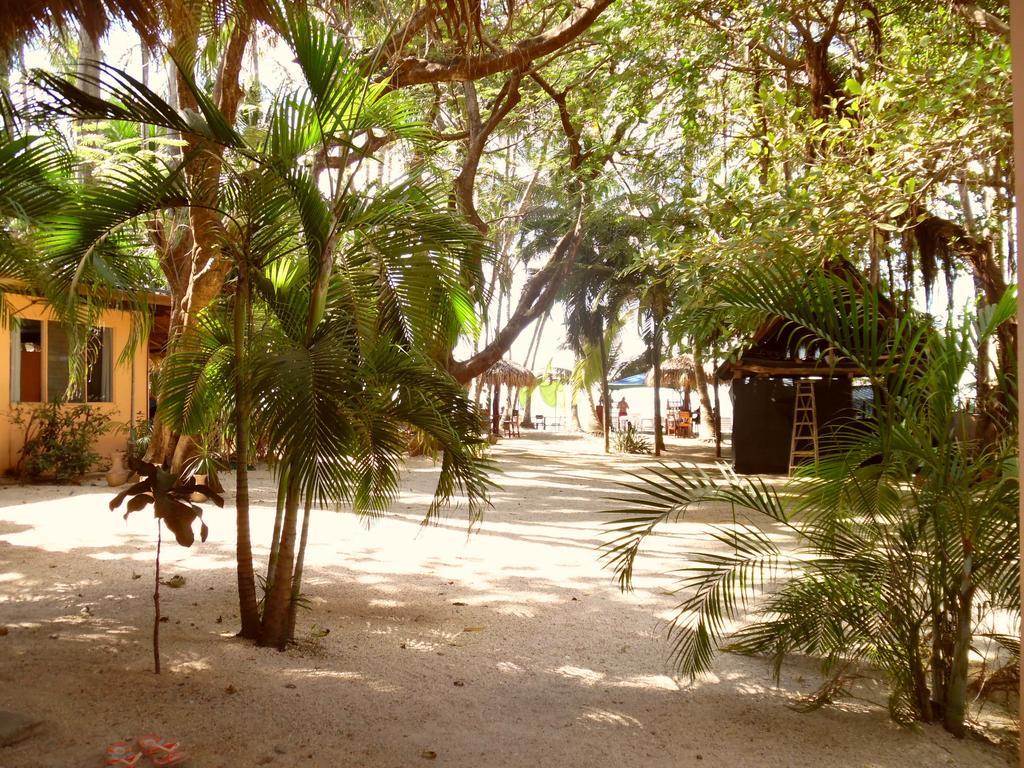 La Palapa Pension Tamarindo Kamer foto